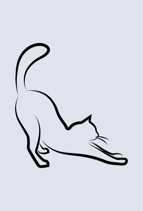 Bettwäsche-Set Black Cat 2 Mikrofaser