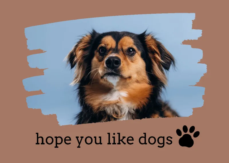 Spruch-Fußmatte personalisiert mit Foto - Geschenkidee für Hundebesitzer, zum Einzug - Türvorleger mit Bild bedruckt - Motiv Hope you like dogs mit Foto 70 x 50 cm
