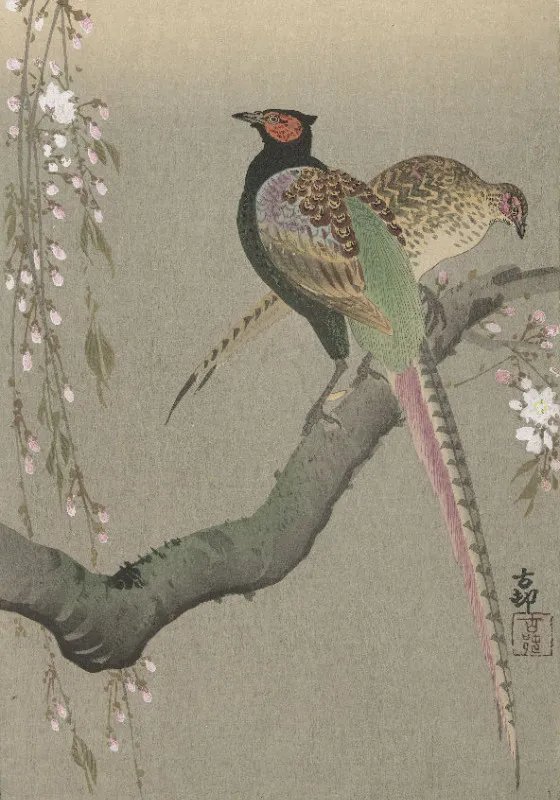 Duschvorhang Shôson - Blumen und Vögel