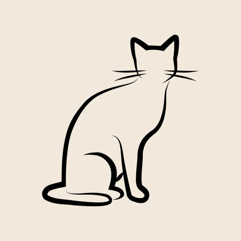 Bettwäsche-Set Black Cat 1 Mikrofaser