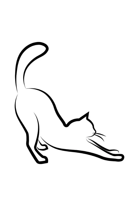 Bettwäsche-Set Black Cat 2 Mikrofaser