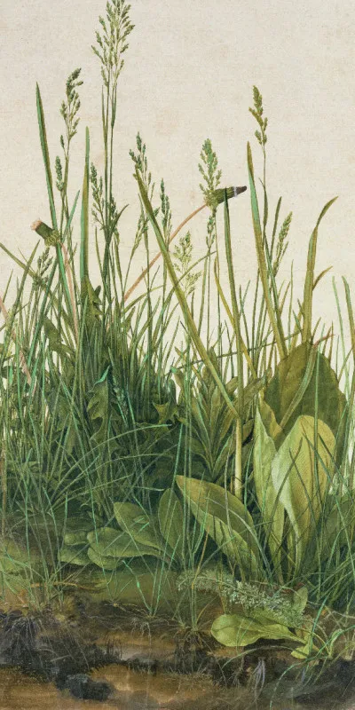 Handtuch Das große Rasenstück - Albrecht Dürer
