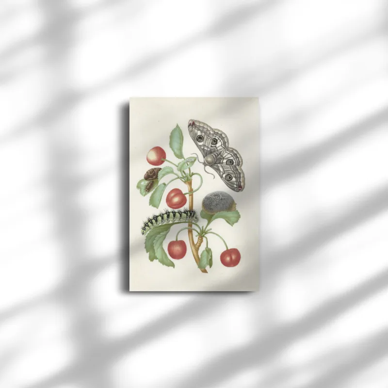 Premium-Leinwand Merian