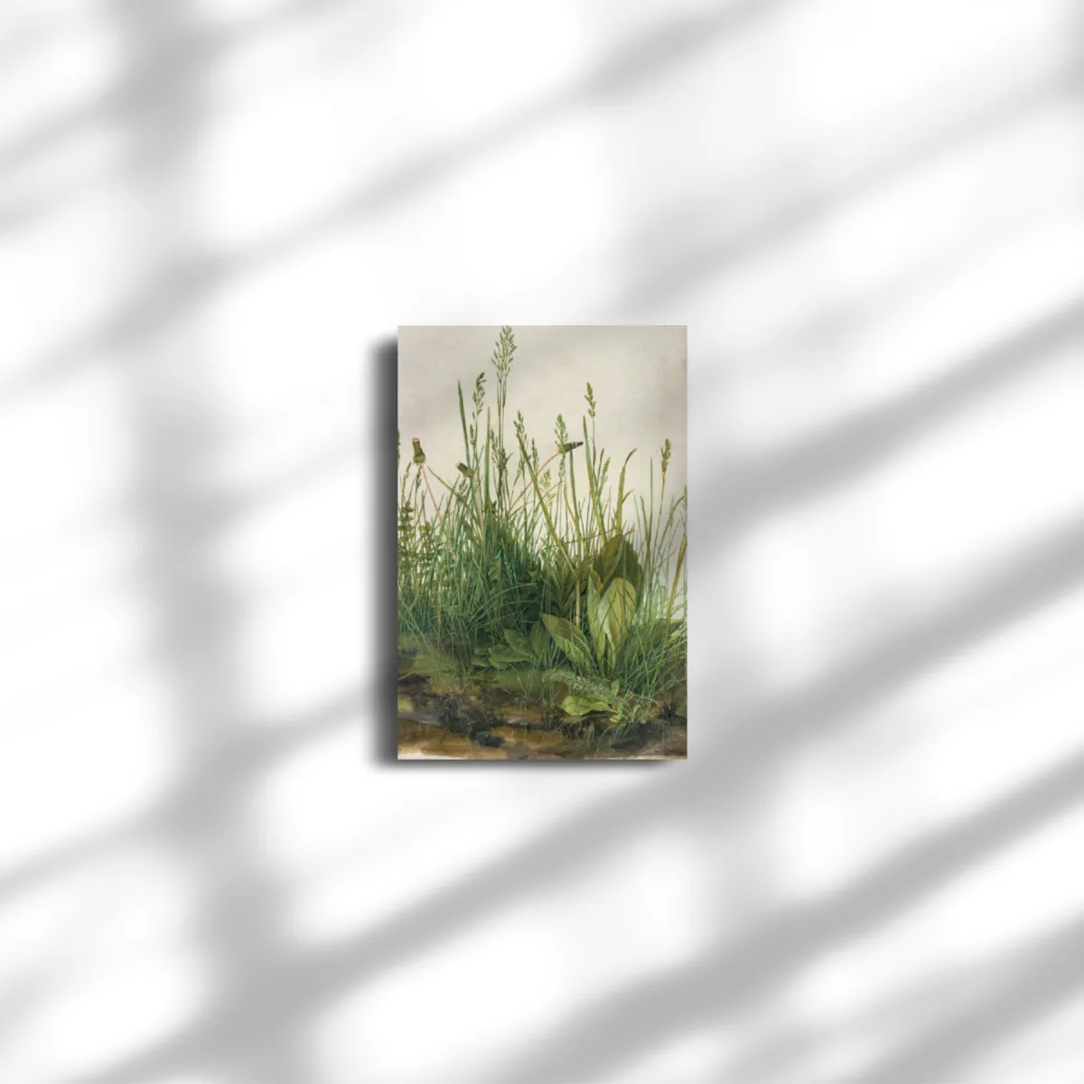 Premium-Leinwand Dürer