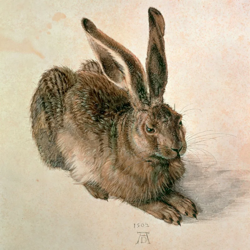 Samtkissenbezug Dürer
