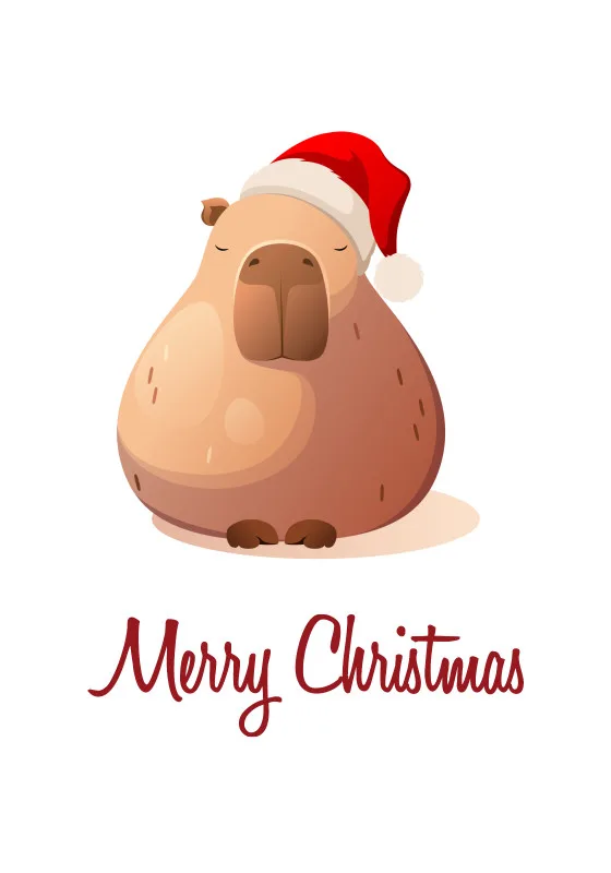 Wohndecke Weihnachtscapy mit Mütze