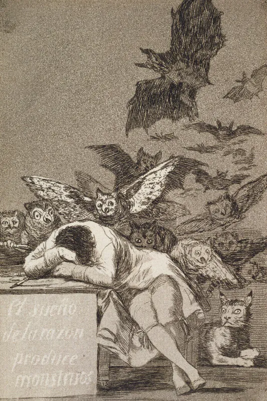 Premium-Leinwand Goya