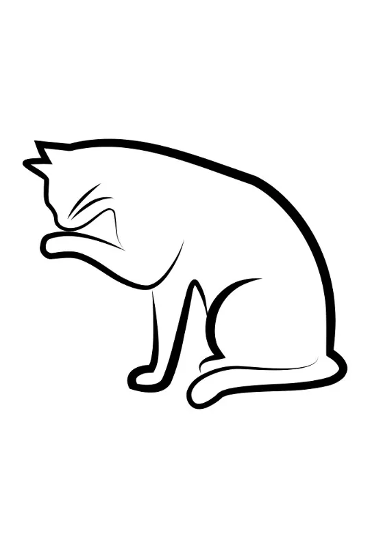 Bettwäsche-Set Black Cat 4 Mikrofaser
