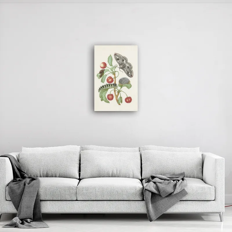 Premium-Leinwand Merian