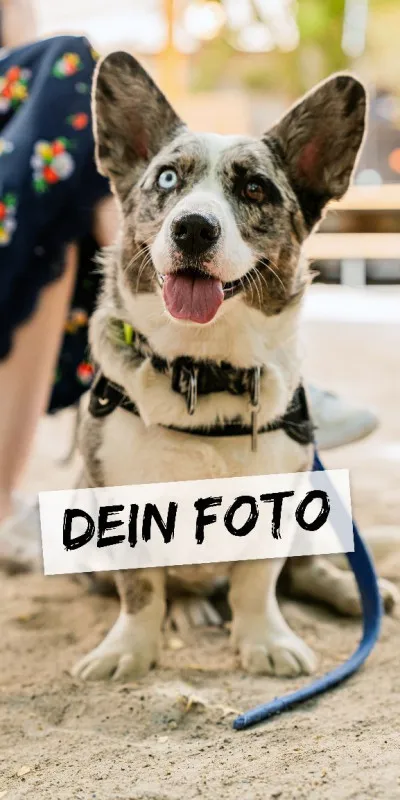 Handtuch mit Foto - personalisiertes Fotohandtuch - Foto-Handtuch selbst gestalten - 1 Foto
