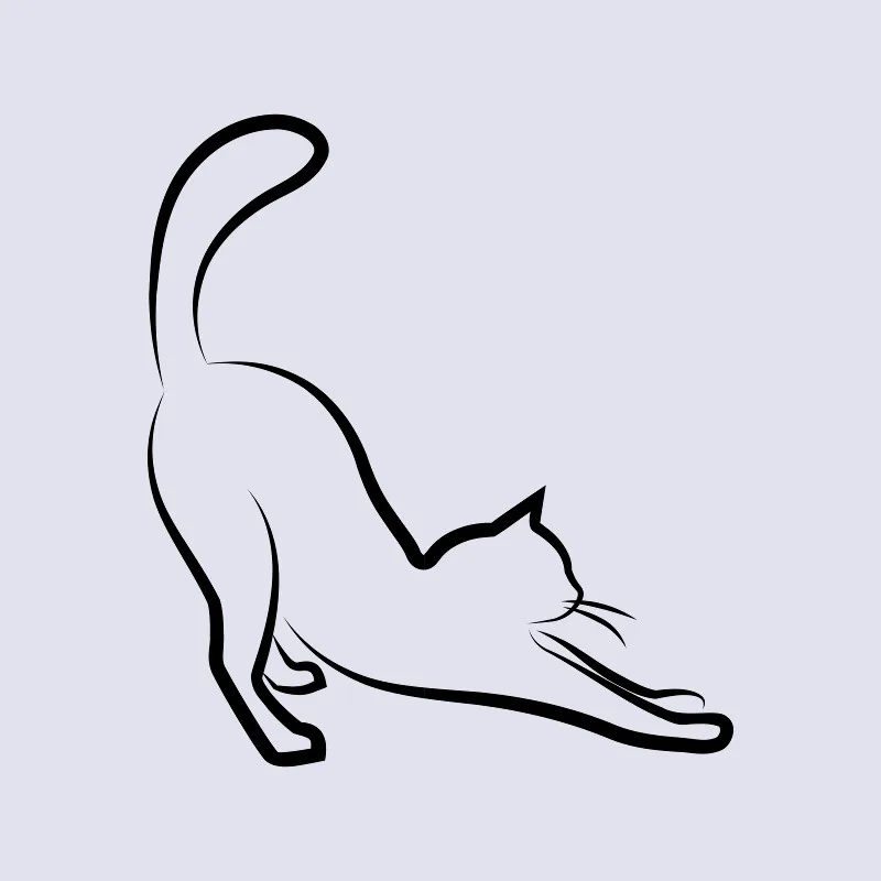 Bettwäsche-Set Black Cat 2 Mikrofaser