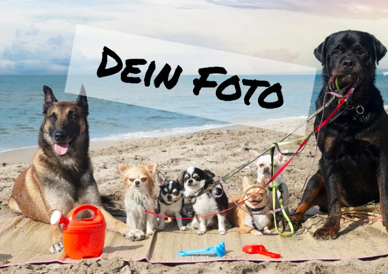 Fotopuzzle mit eigenem Bild - Fotopuzzle selbst gestalten 1000 Teile Hochformat - Schachtel Happy Birthday - Puzzle mit Foto personalisiert - Geschenk Geburtstag Happy Birthday 1000 Teile Hoch