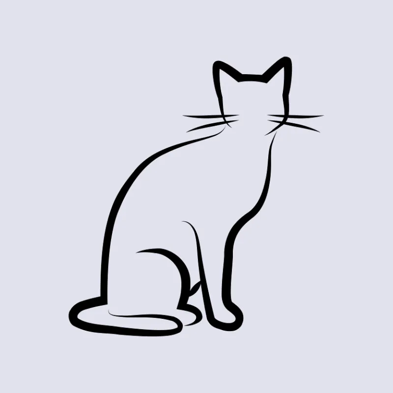 Bettwäsche-Set Black Cat 1 Mikrofaser