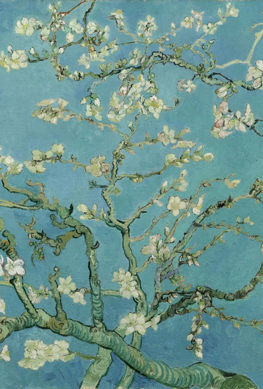 Motivbettwäsche Van Gogh - Mandelblüte Mikrofaser