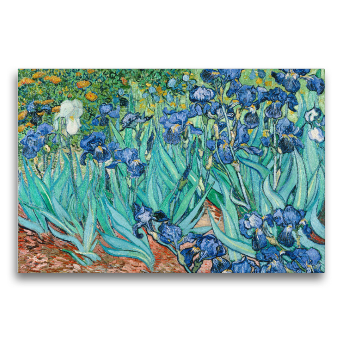 Premium-Leinwand Van Gogh