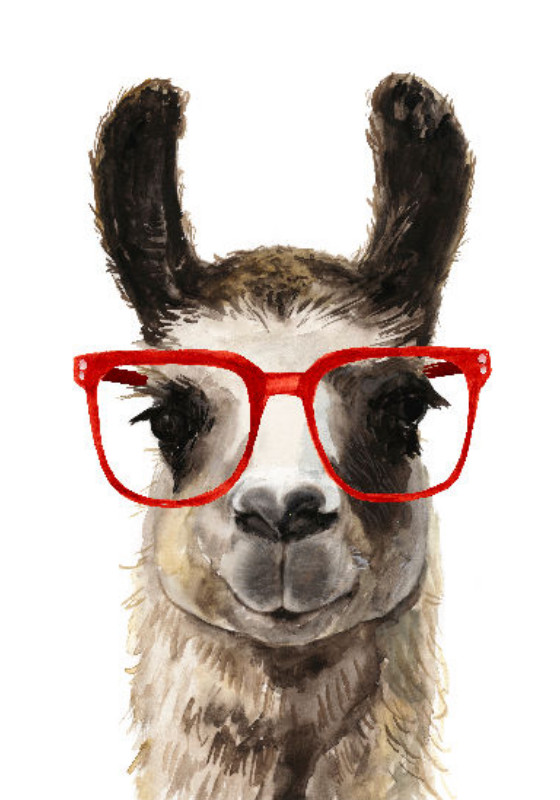 Duschvorhang Lama IV