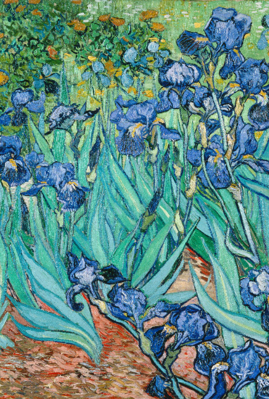 Bettwäsche-Set van Gogh - Iris Baumwolle