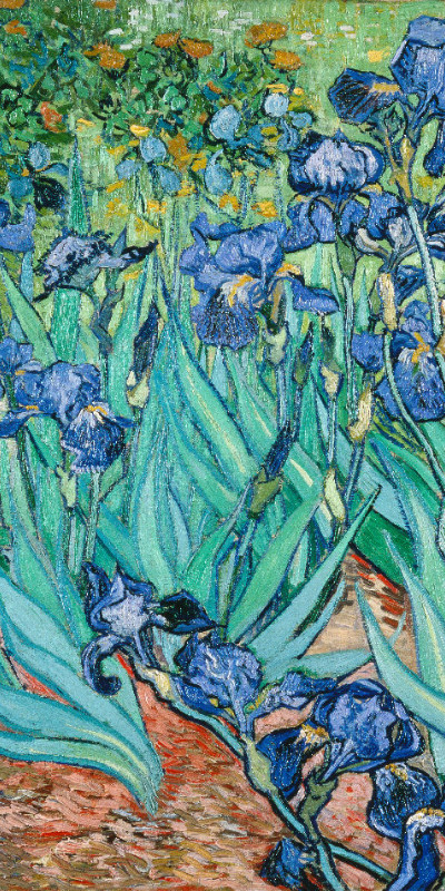 Badetuch Iris - Van Gogh