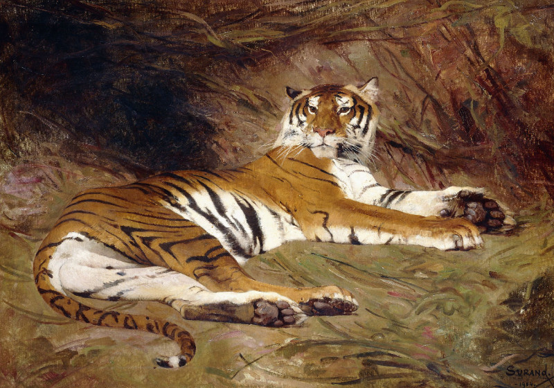 Kuscheldecke Tiger - Surand