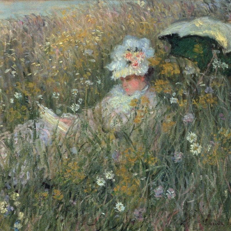 Samtkissenbezug In der Blumenwiese - Monet 
