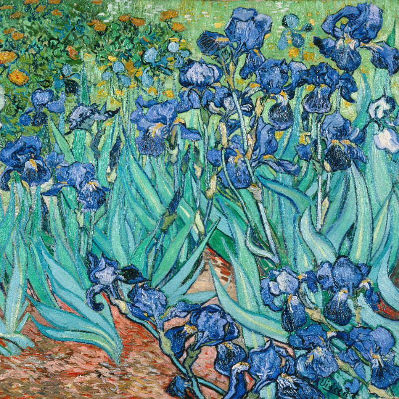 Bettwäsche-Set van Gogh - Iris Baumwolle