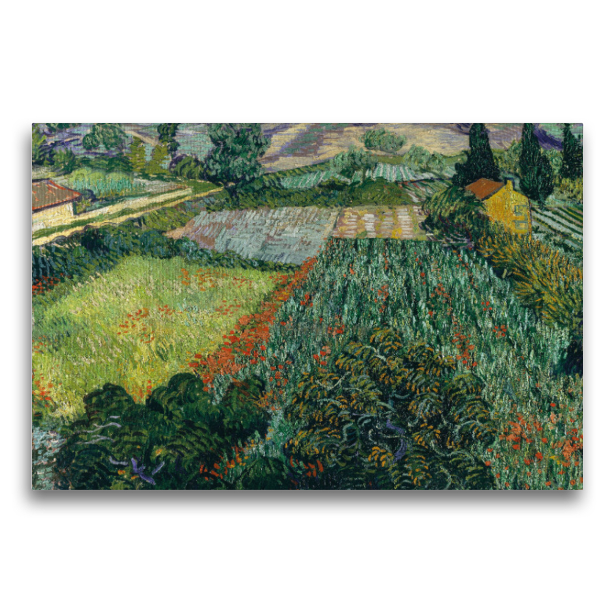 Premium-Leinwand Van Gogh