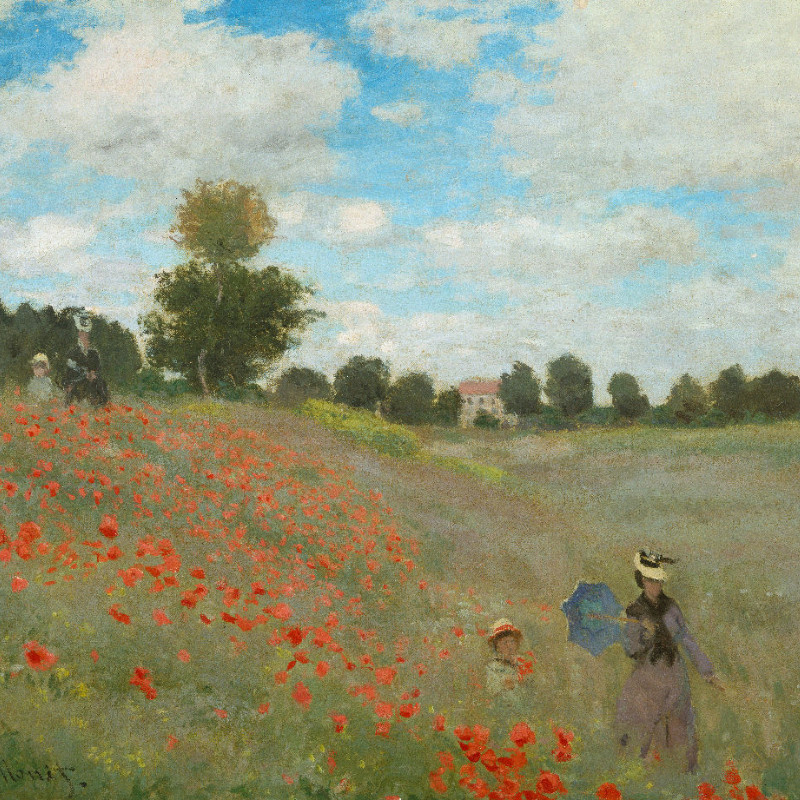 Samtkissenbezug Mohnfeld Monet