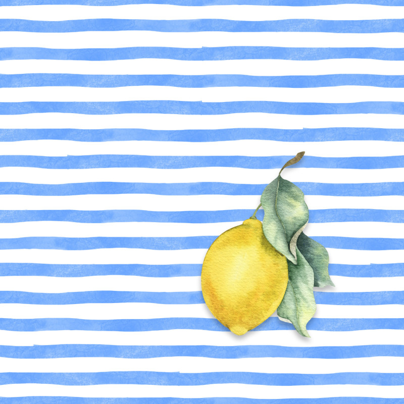 Samtkissenbezug Citrus Stripes
