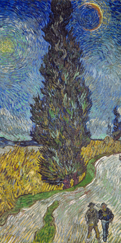 Strandhandtuch Van Gogh