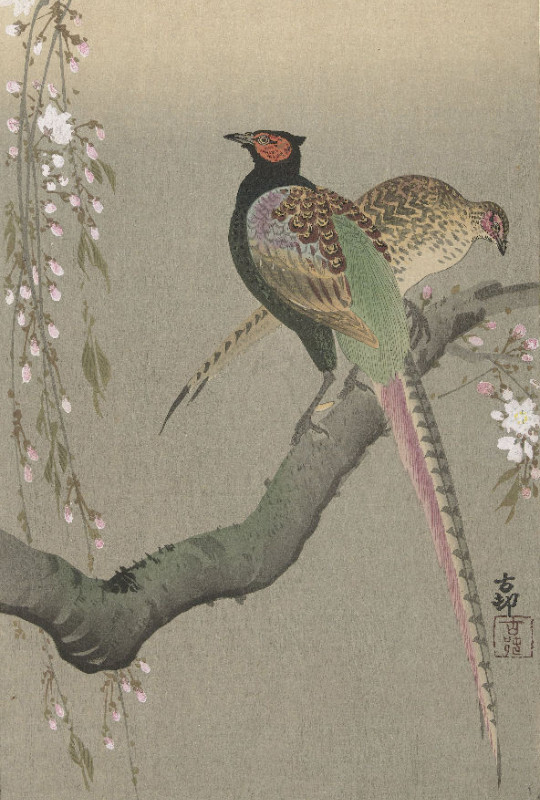Bettwäsche-Set Shôson - Blumen und Vögel Baumwolle