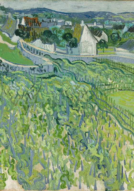 Duschvorhang Van Gogh - Weinberge in Auvers