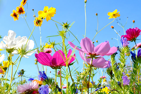 Bettwäsche-Sets für den Sommer