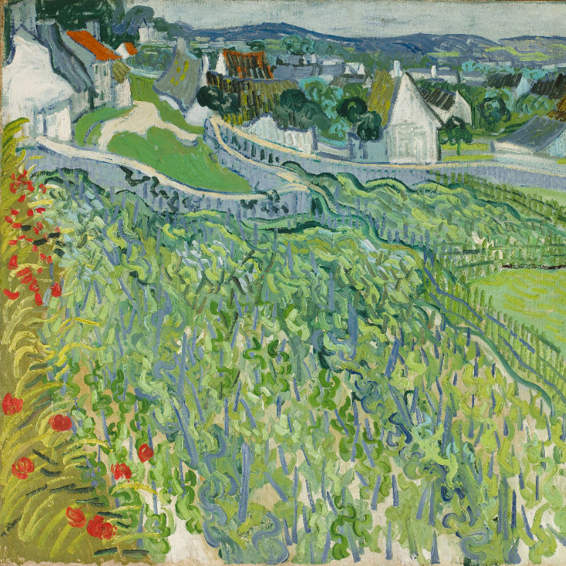 Samtkissenbezug Weinberge in Auvers Van Gogh