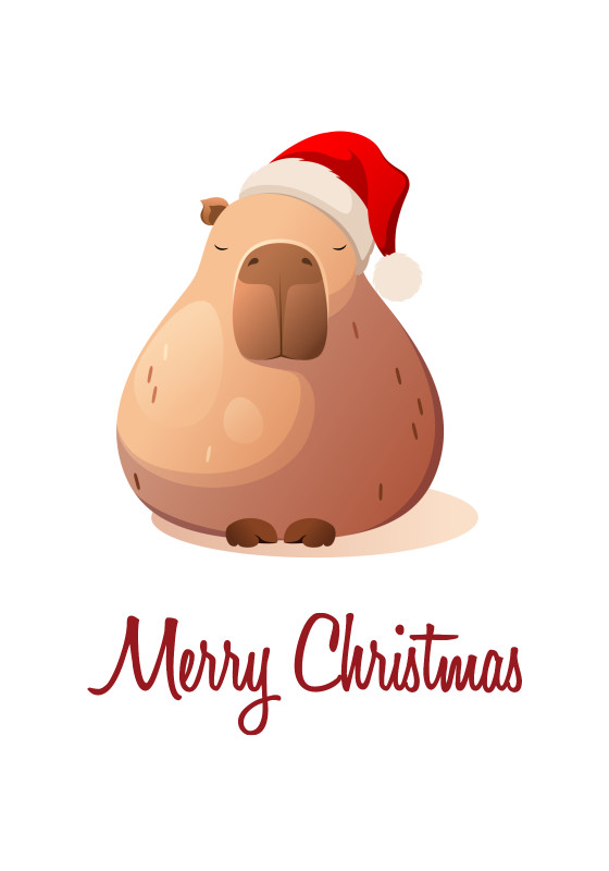 Wohndecke Weihnachtscapy mit Mütze