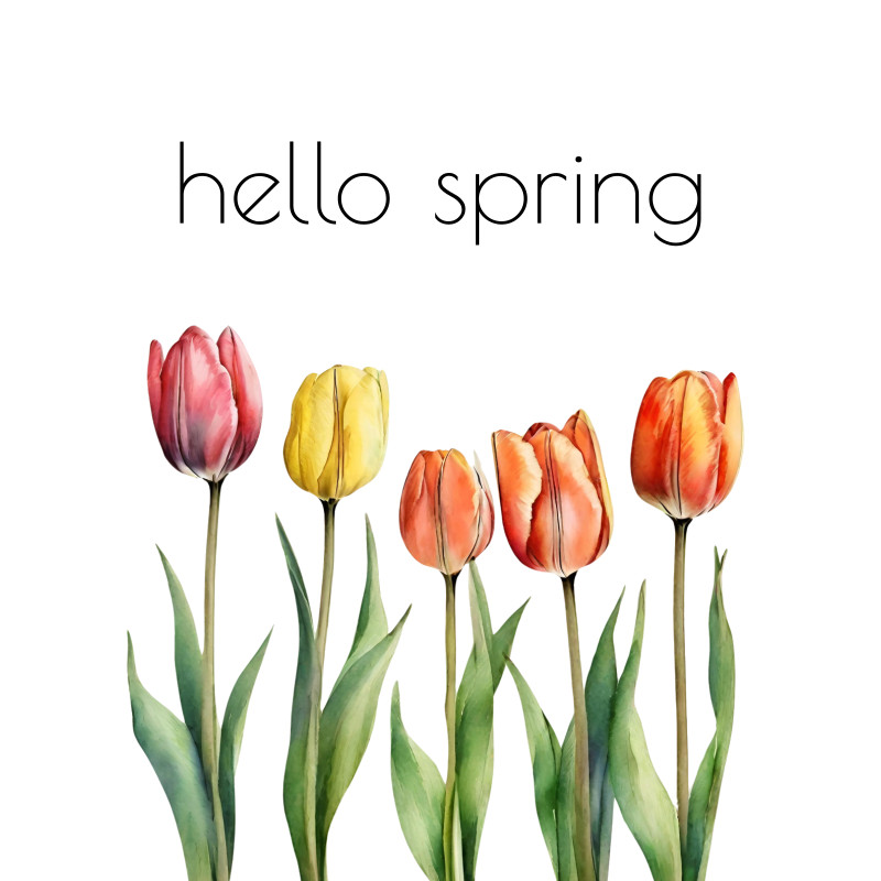 Kissenbezug Hello Spring Tulpen