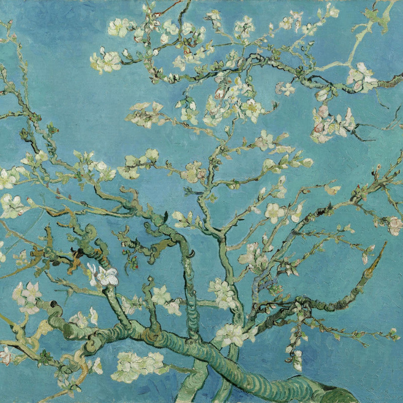 Samtkissenbezug Mandelblüte Van Gogh