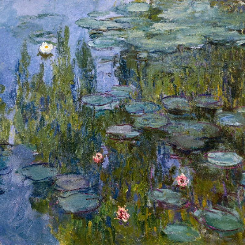 Samtkissenbezug Seerosen Monet