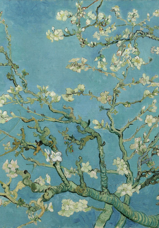 Duschvorhang Van Gogh - Mandelblüte