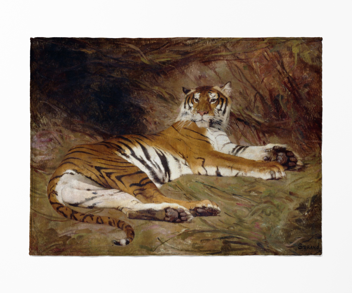 Kuscheldecke Tiger - Surand