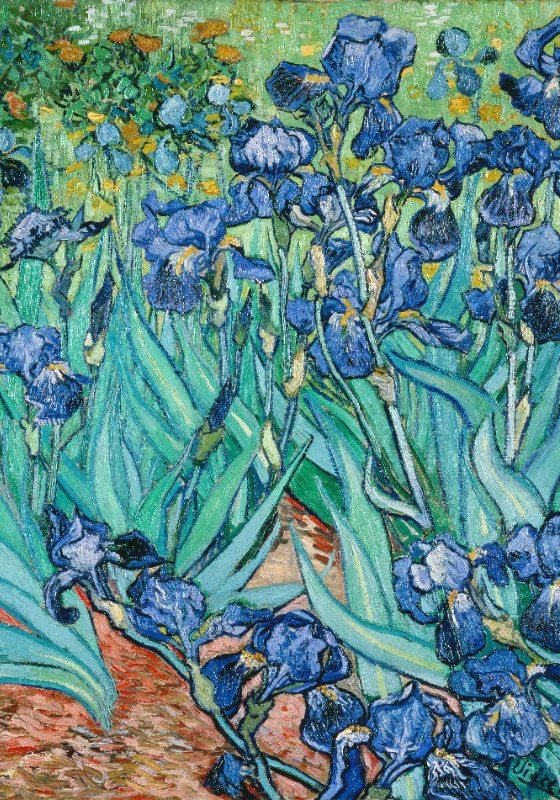 Duschvorhang Van Gogh - Iris