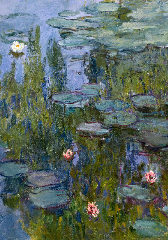 Duschvorhang Monet - Seerosen