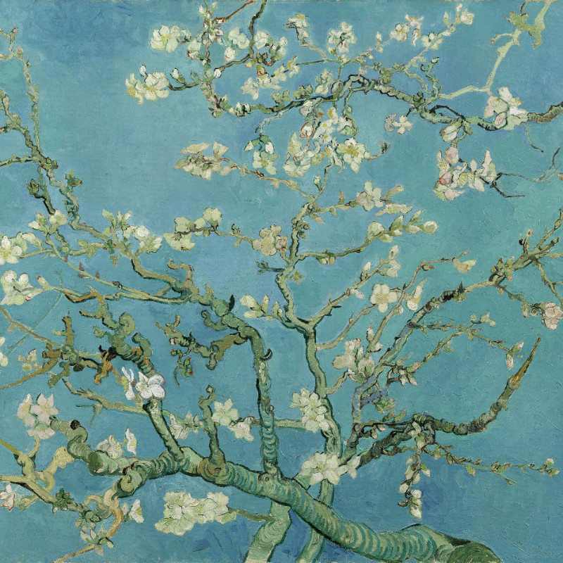 Kissenbezug Mandelblüte Van Gogh