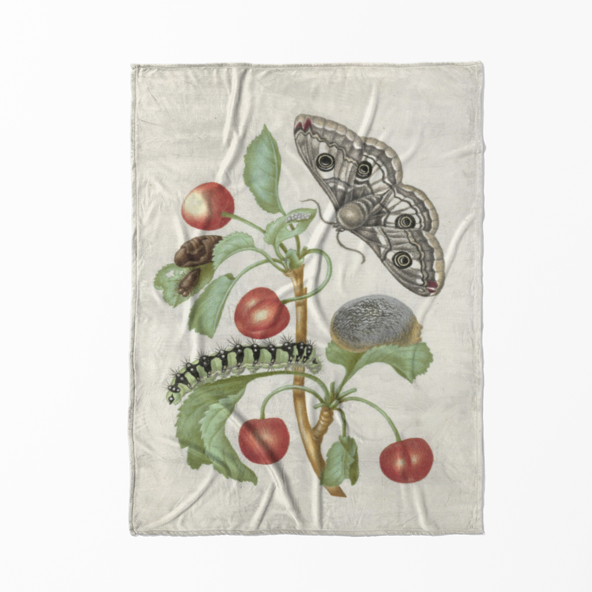 Kuscheldecke Transformation des Nachtpfauenauges Merian