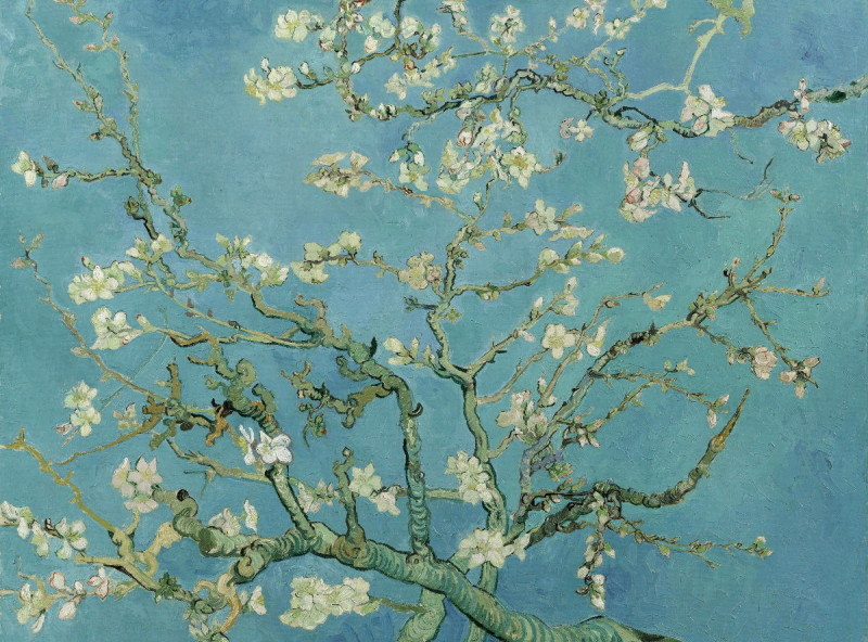 Fleece-Decke Van Gogh Fleece-Decke Van Gogh