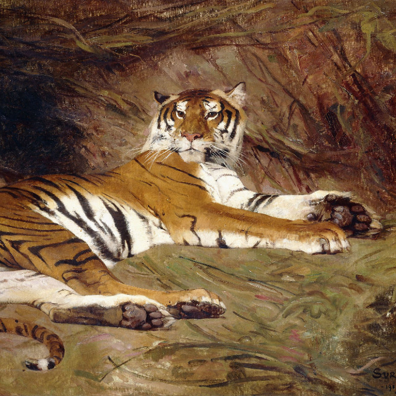 Kissenbezug Liegender Tiger Surand