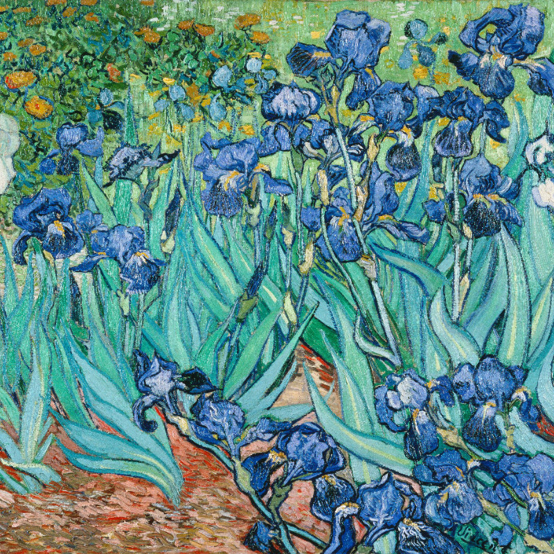 Samtkissenbezug Iris Van Gogh