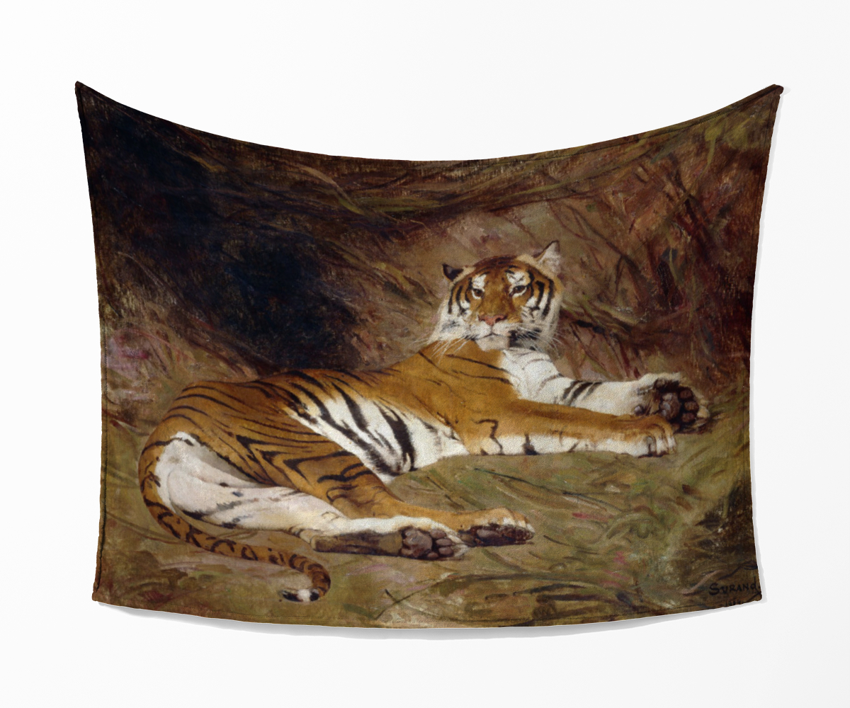 Kuscheldecke Tiger - Surand