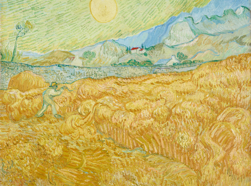 Fleece-Decke Van Gogh