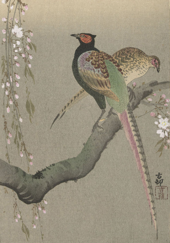 Duschvorhang Shôson - Blumen und Vögel