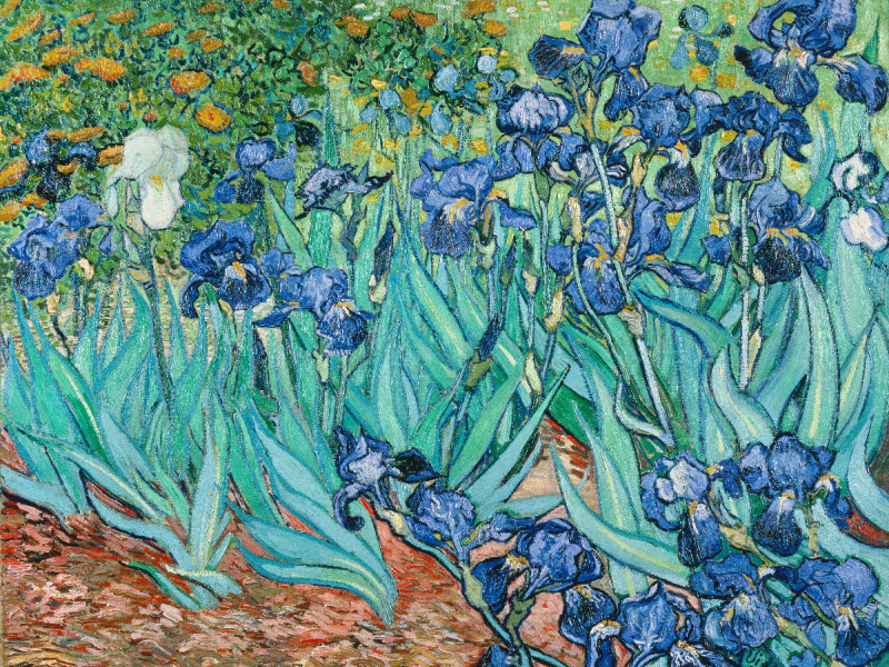 Fleece-Decke Van Gogh